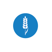 Icon für Getreide