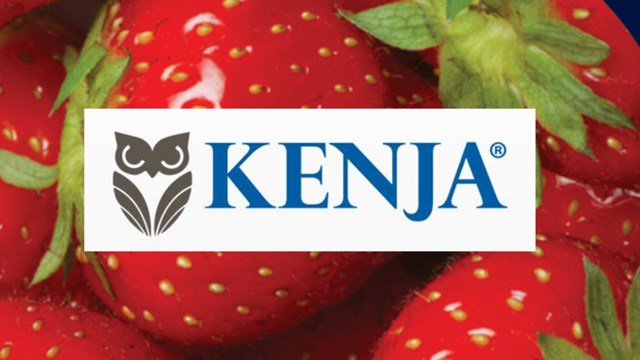 Logo Kenja